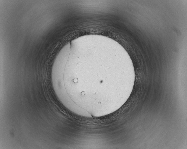 X0000112900752200910021434