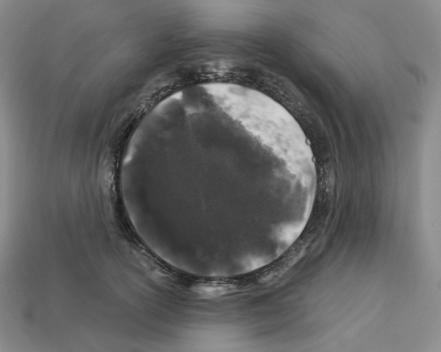 X0000112900754200910021434