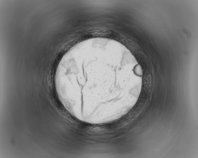 X0000112900755200910021434