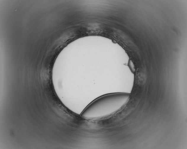 X0000112900756200910021434