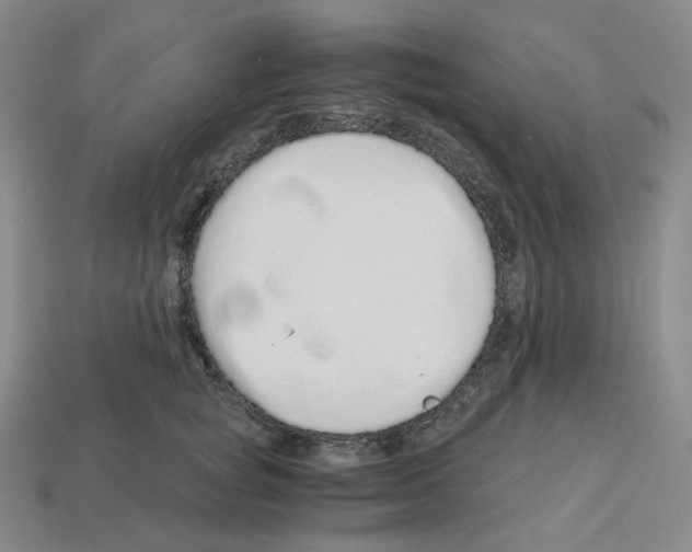 X0000112900757200910021434