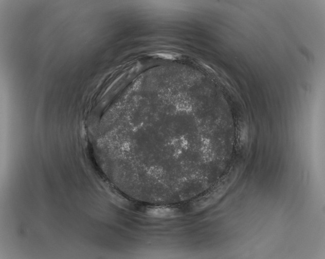 X0000112900759200910021434