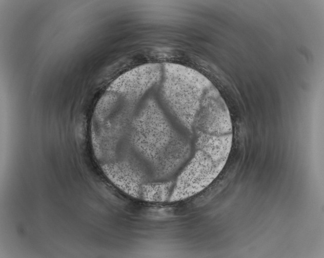 X0000112900760200910021434