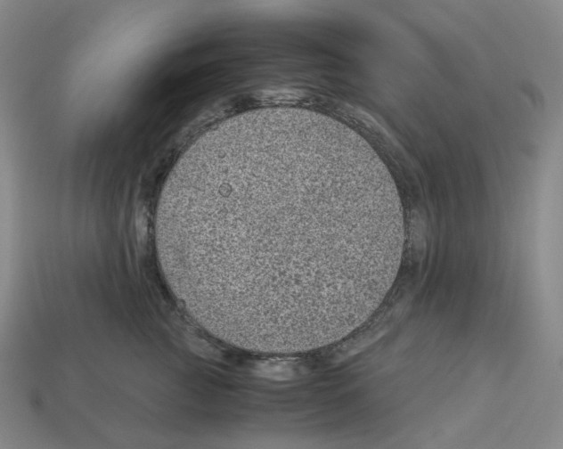 X0000112900761200910021434