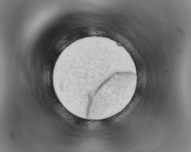 X0000112900762200910021434