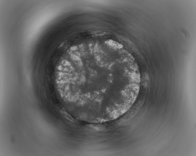 X0000112900763200910021434
