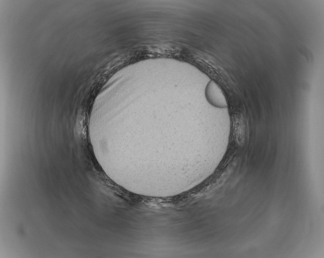 X0000112900770200910021434