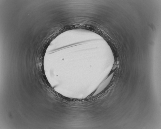 X0000112900771200910021434