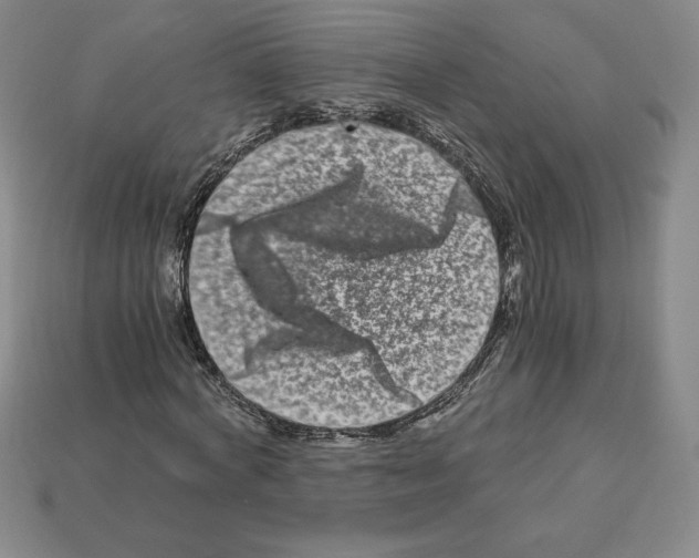 X0000112900772200910021434