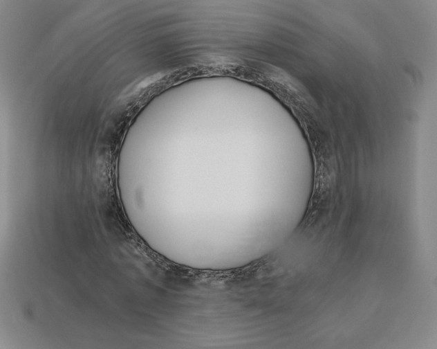 X0000112900773200910021434