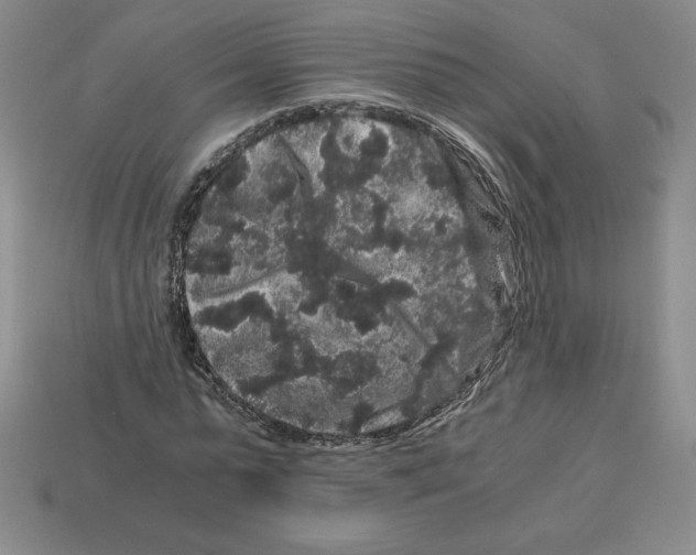 X0000112900775200910021433