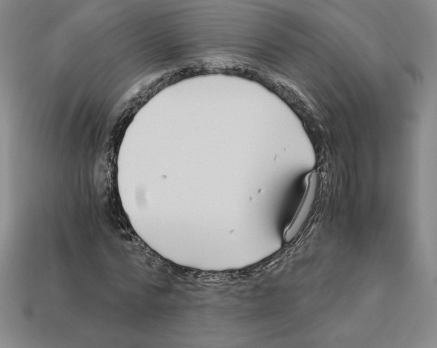 X0000112900776200910021433