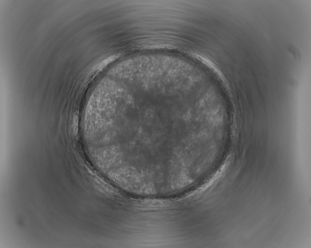 X0000112900777200910021433