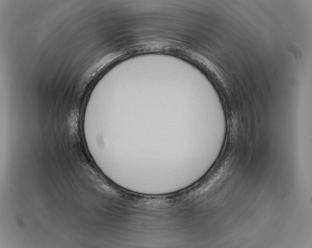 X0000112900778200910021433