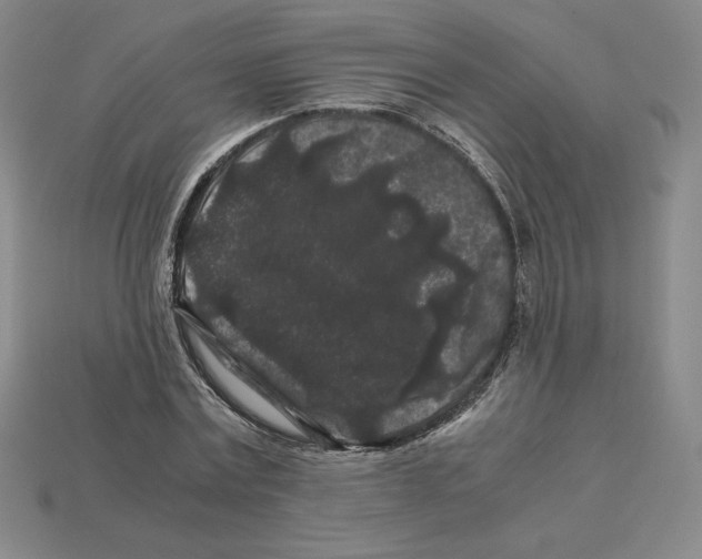 X0000112900779200910021433