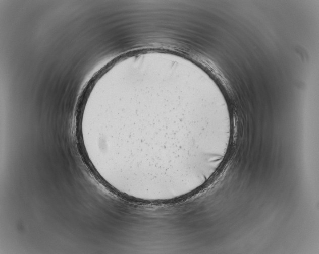 X0000112900780200910021433
