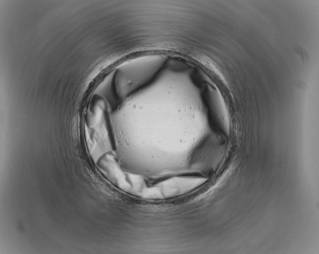 X0000112900781200910021433