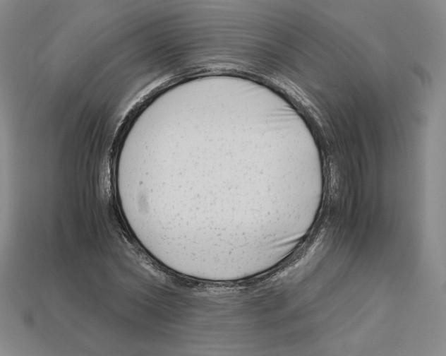 X0000112900782200910021433