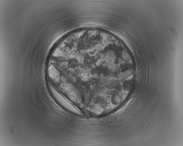 X0000112900783200910021433