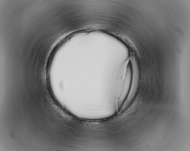 X0000112900784200910021433