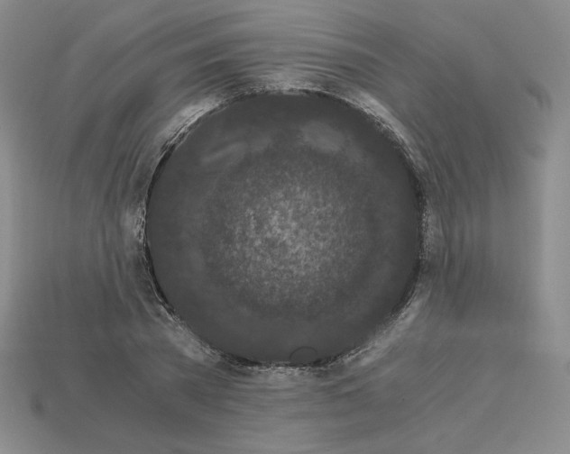 X0000112900785200910021433