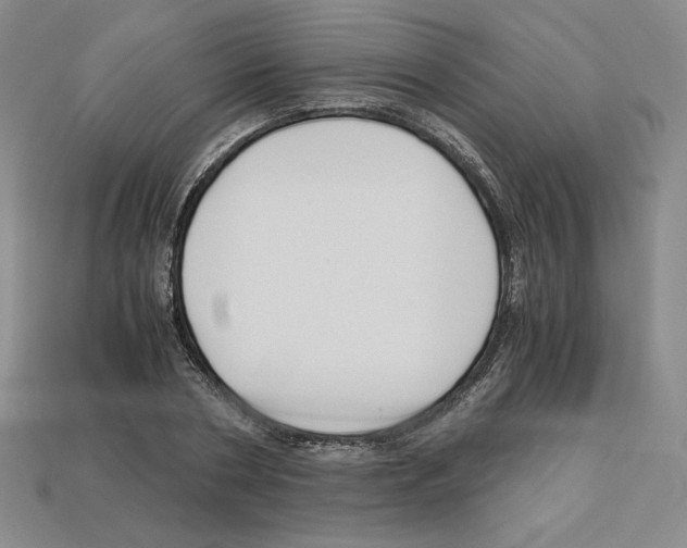 X0000112900786200910021433