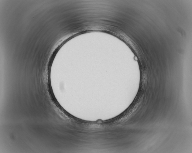 X0000112900787200910021433