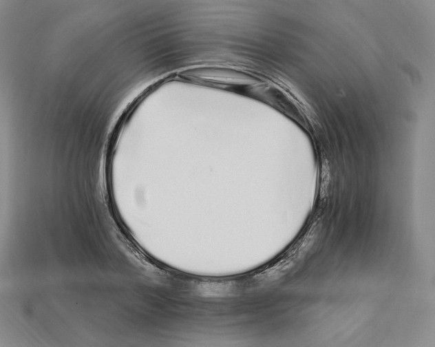 X0000112900788200910021433