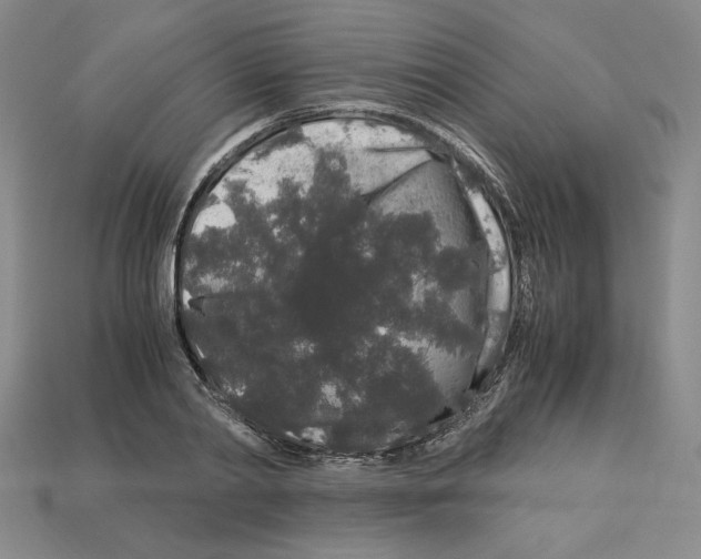 X0000112900790200910021433