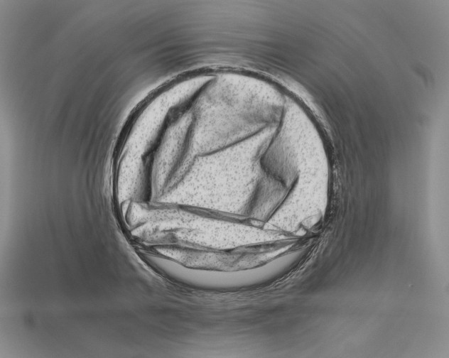 X0000112900791200910021433