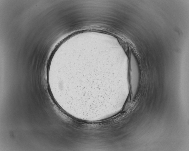 X0000112900792200910021433