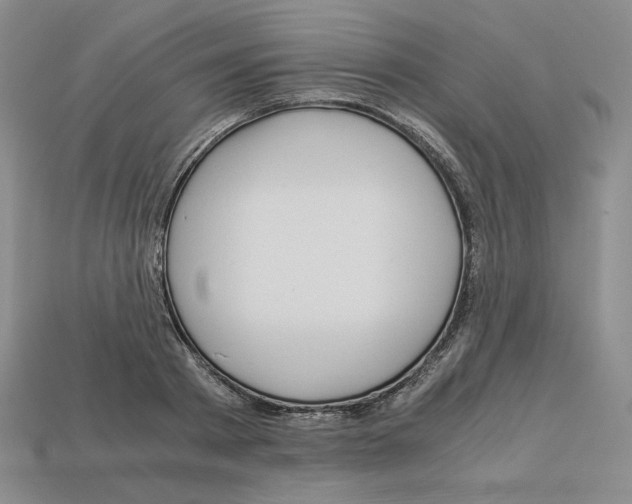 X0000112900793200910021433