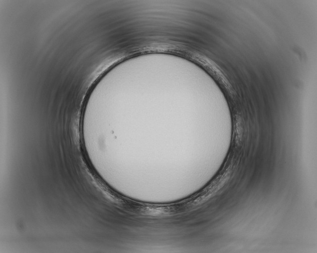 X0000112900794200910021433