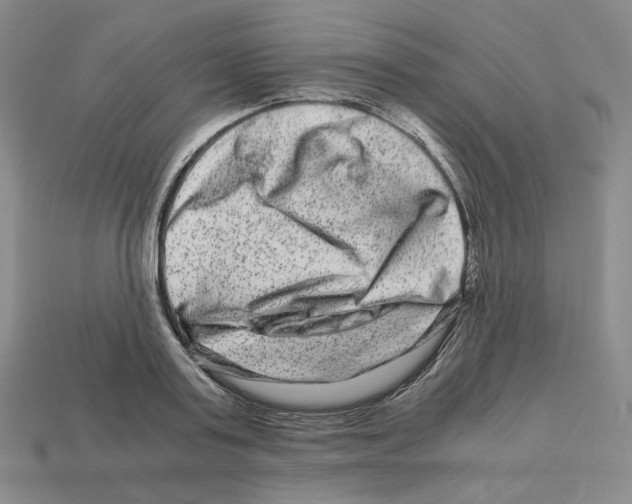 X0000112900795200910021433
