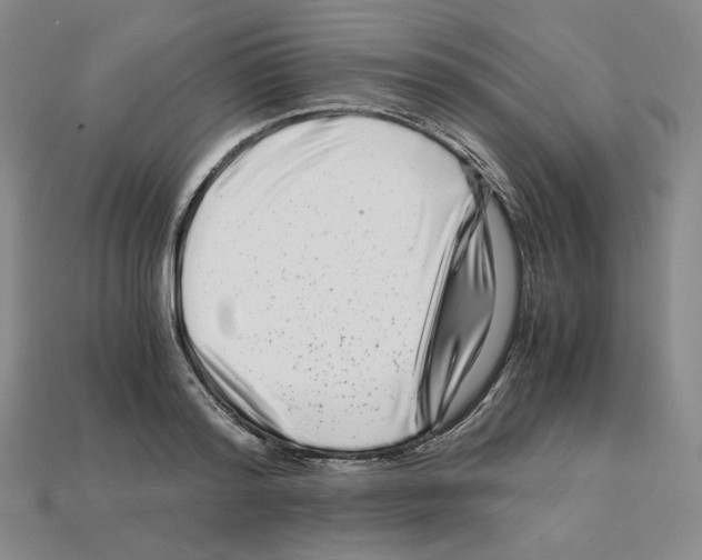 X0000112900796200910021433