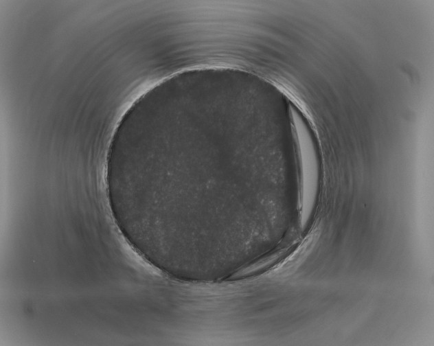 X0000112900797200910021433
