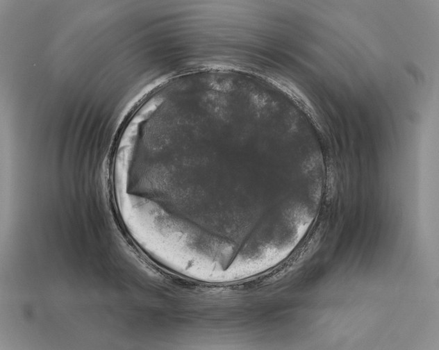 X0000112900798200910021433
