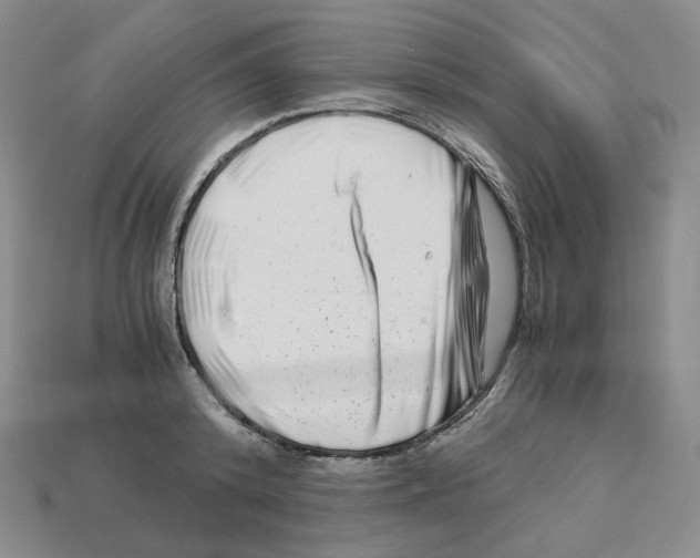 X0000112900800200910021433