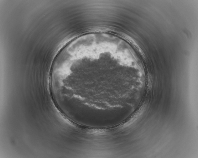 X0000112900802200910021433