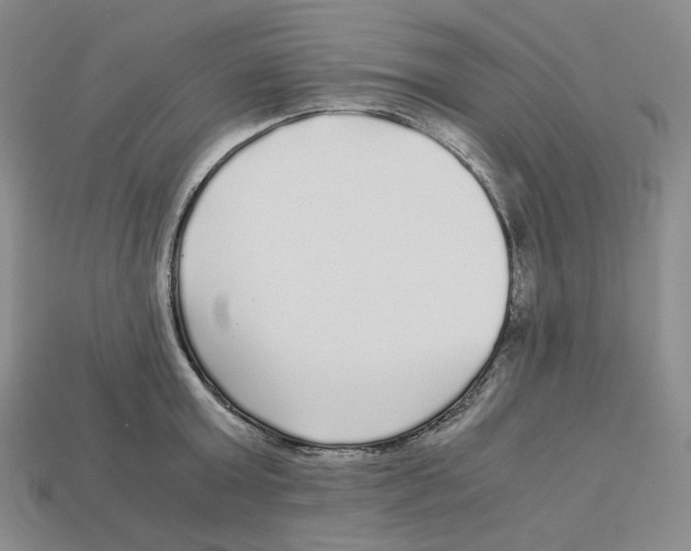 X0000112900803200910021433