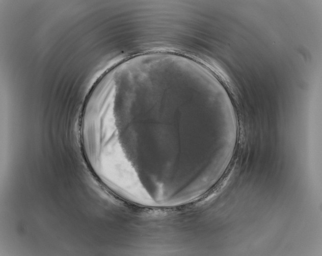 X0000112900806200910021433