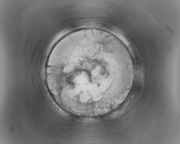 X0000112900807200910021433