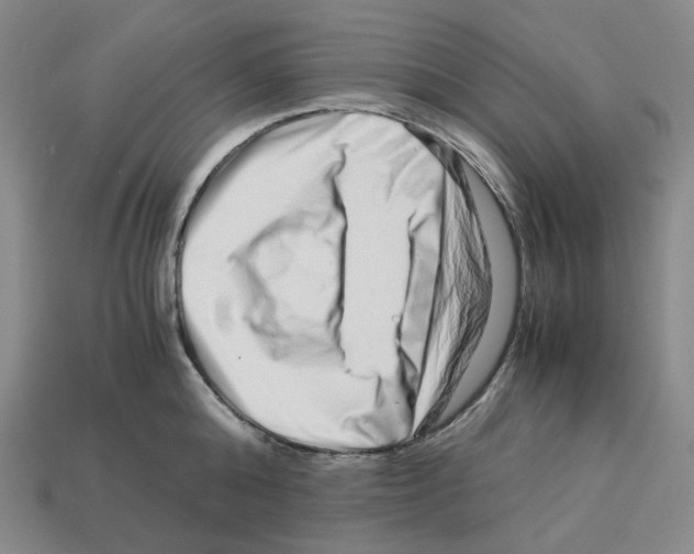 X0000112900808200910021433