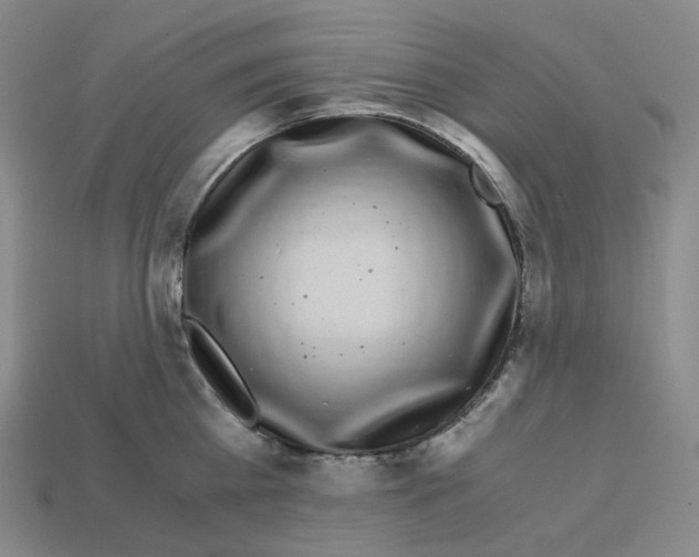 X0000112900809200910021433