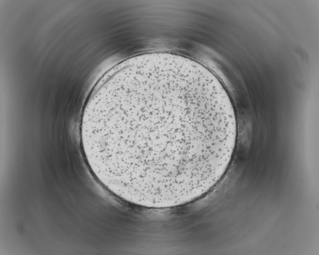 X0000112900810200910021433