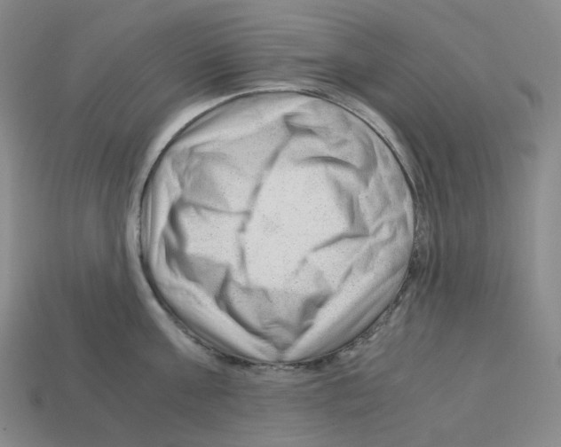 X0000112900811200910021433