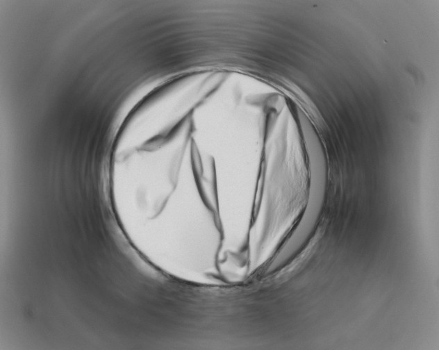 X0000112900812200910021433