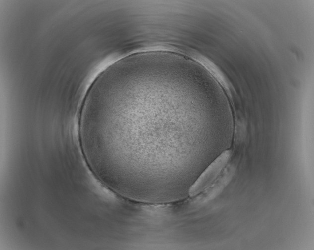 X0000112900813200910021433