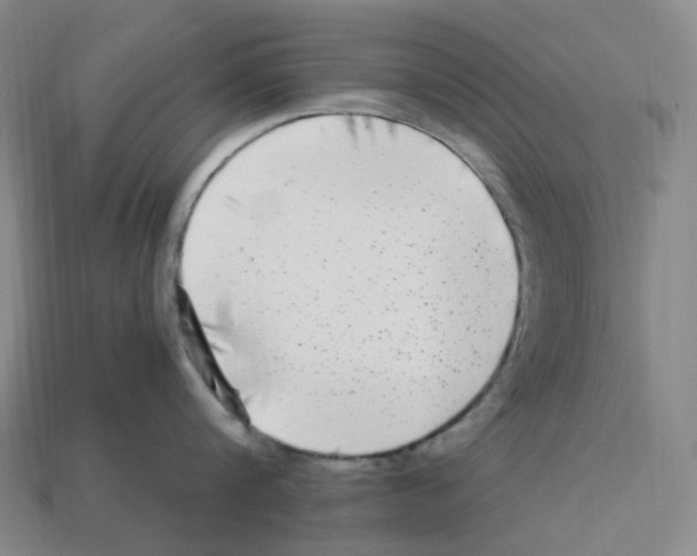 X0000112900816200910021433
