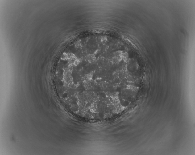 X0000112900817200910021432